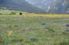 dsc_7552_fs_small.jpg