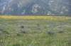 dsc_7553_fs_small.jpg