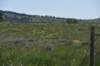 dsc_7561_fs_small.jpg