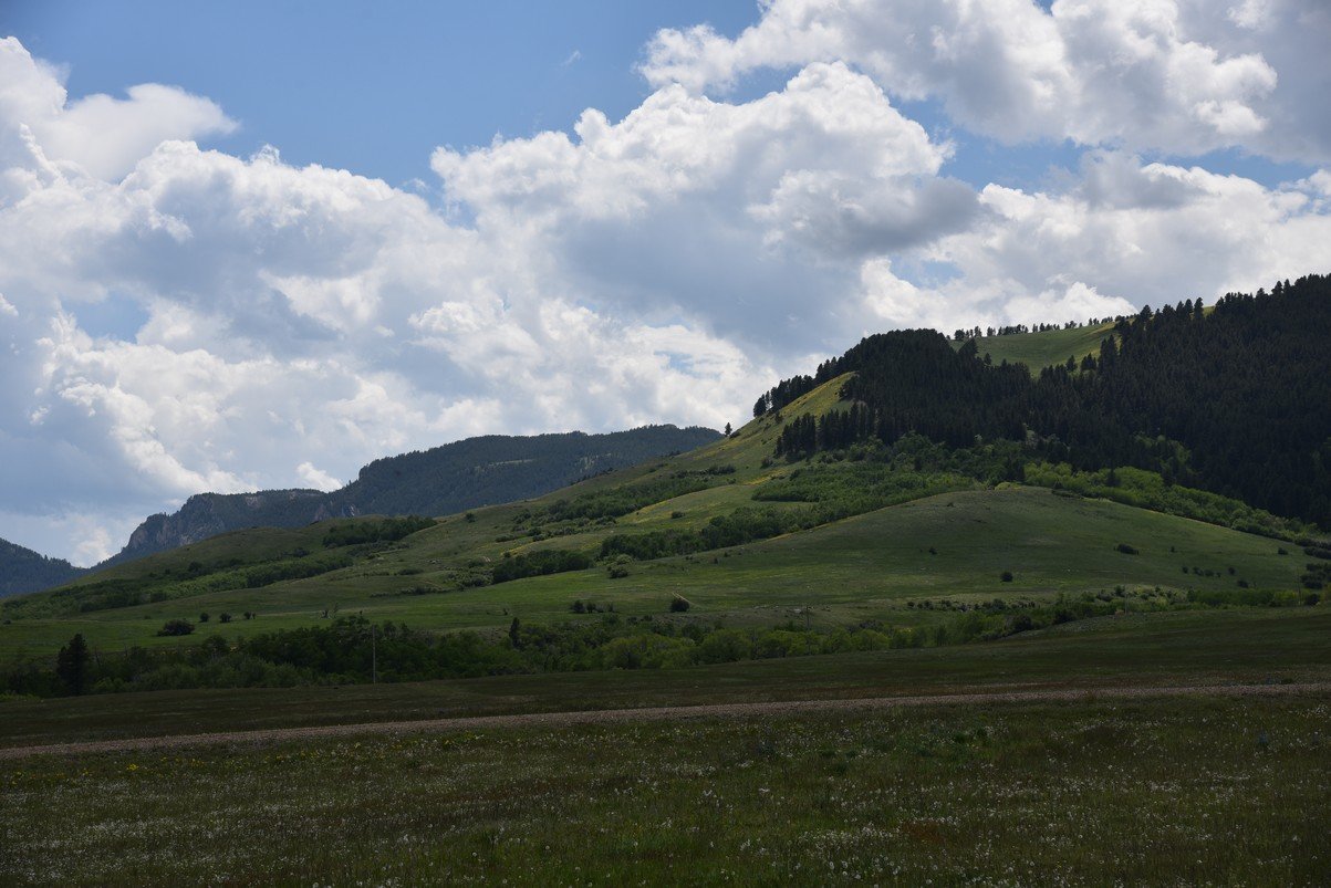 dsc_7566_fs.jpg