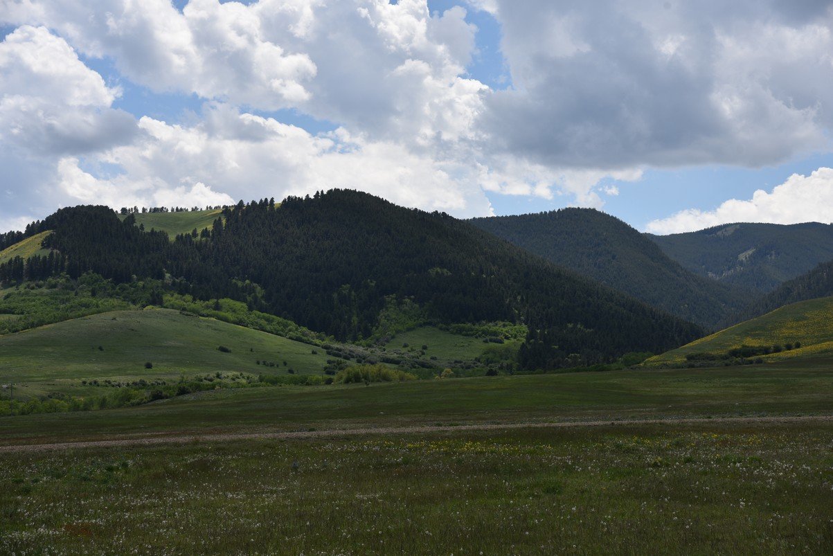 dsc_7567_fs.jpg