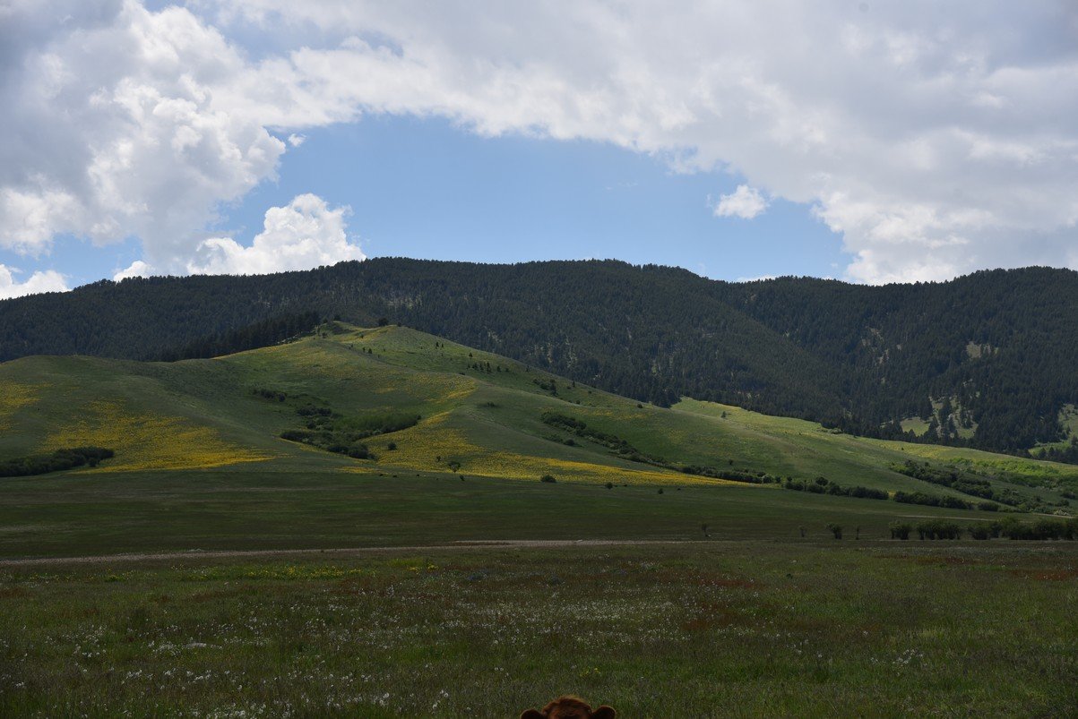 dsc_7569_fs.jpg