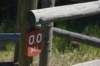 dsc_7586_fs_small.jpg