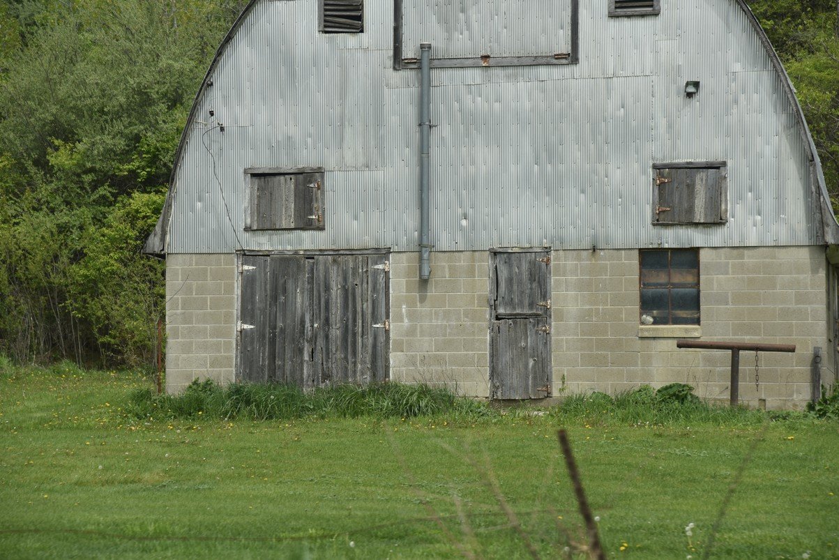 dsc_2183_fs.jpg