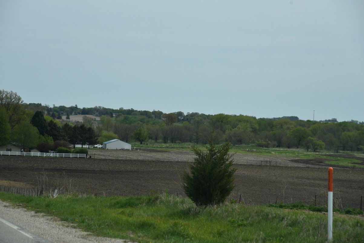 dsc_2196_fs.jpg