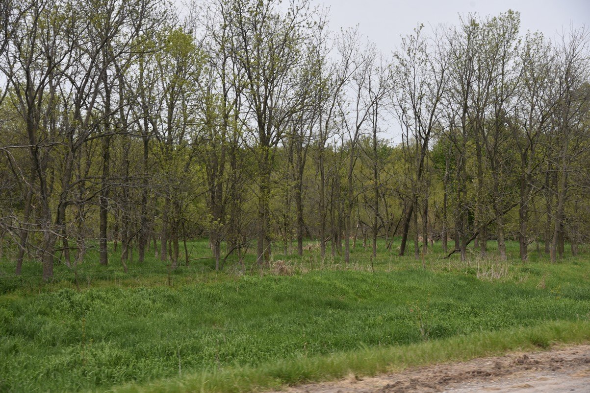 dsc_2242_fs.jpg