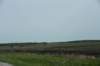 dsc_2255_fs_small.jpg