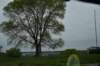 dsc_2272_fs_small.jpg