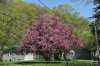 dsc_2400_fs_small.jpg