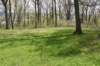 dsc_2550_fs_small.jpg