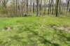 dsc_2551_fs_small.jpg