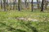 dsc_2552_fs_small.jpg