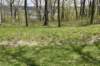 dsc_2553_fs_small.jpg