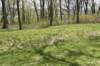 dsc_2554_fs_small.jpg