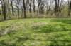 dsc_2555_fs_small.jpg