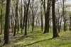 dsc_2556_fs_small.jpg