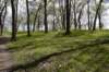 dsc_2557_fs_small.jpg