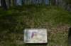 dsc_2568_fs_small.jpg