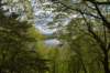 dsc_2570_fs_small.jpg