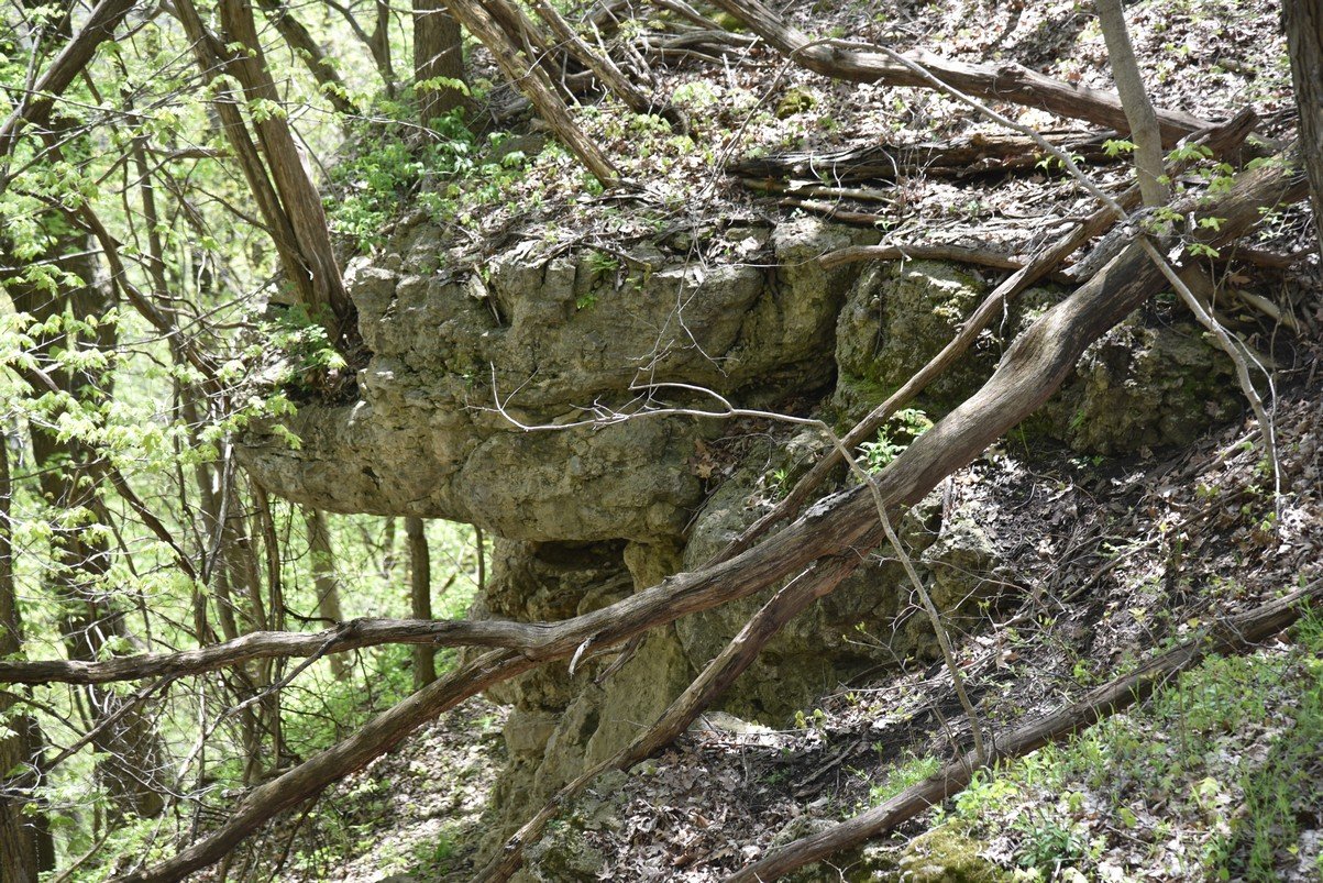 dsc_2582.jpg