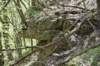 dsc_2582_small.jpg