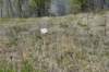 dsc_2607_fs_small.jpg