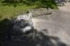 dsc_2617_fs_small.jpg