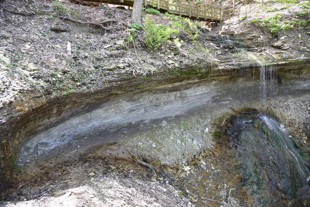dsc_2654_fs.jpg