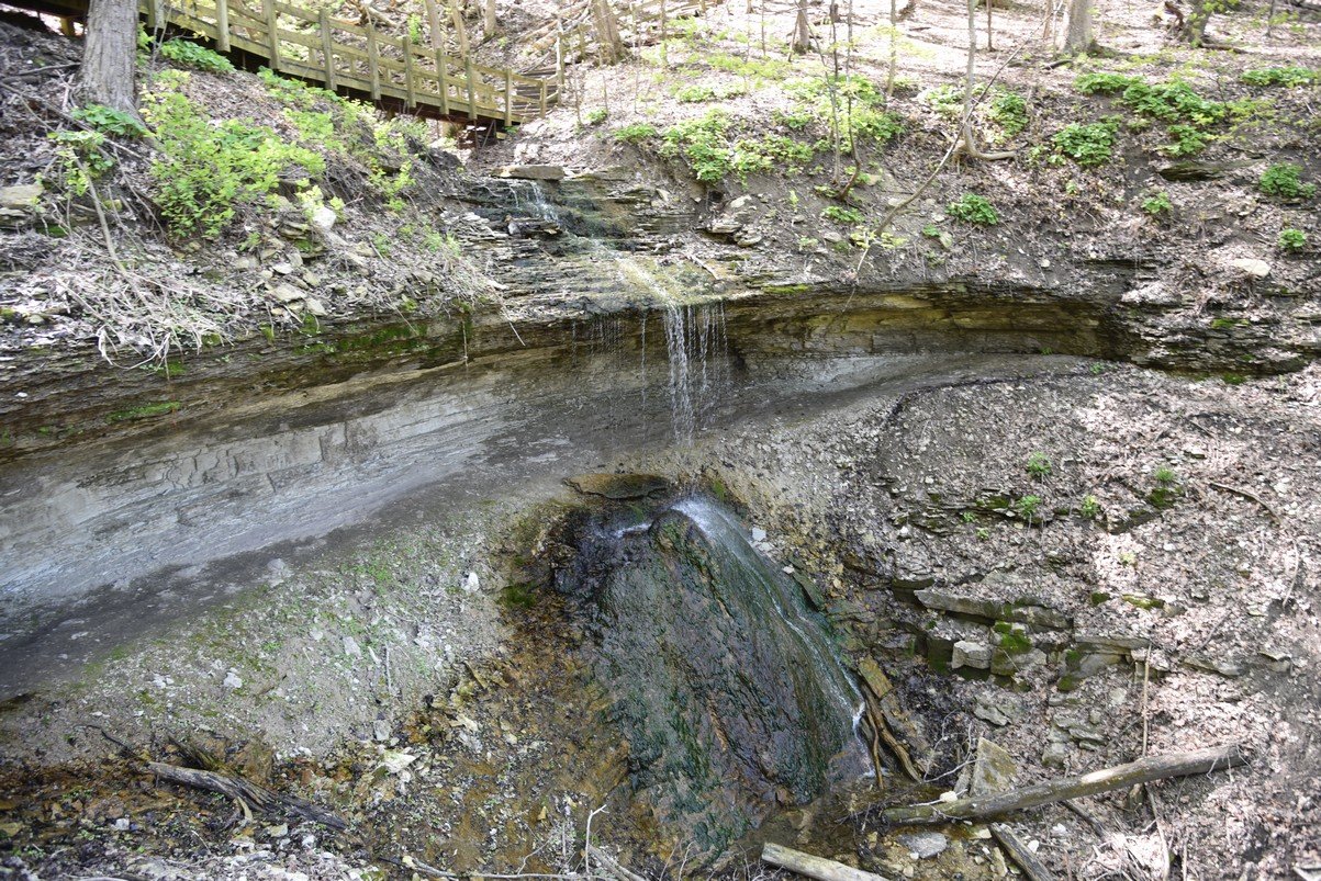 dsc_2655_fs.jpg