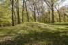dsc_2677_fs_small.jpg