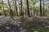 dsc_2679_fs_small.jpg