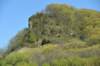dsc_2740_fs_small.jpg