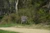 dsc_2742_fs_small.jpg