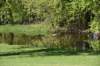 dsc_2756_fs_small.jpg