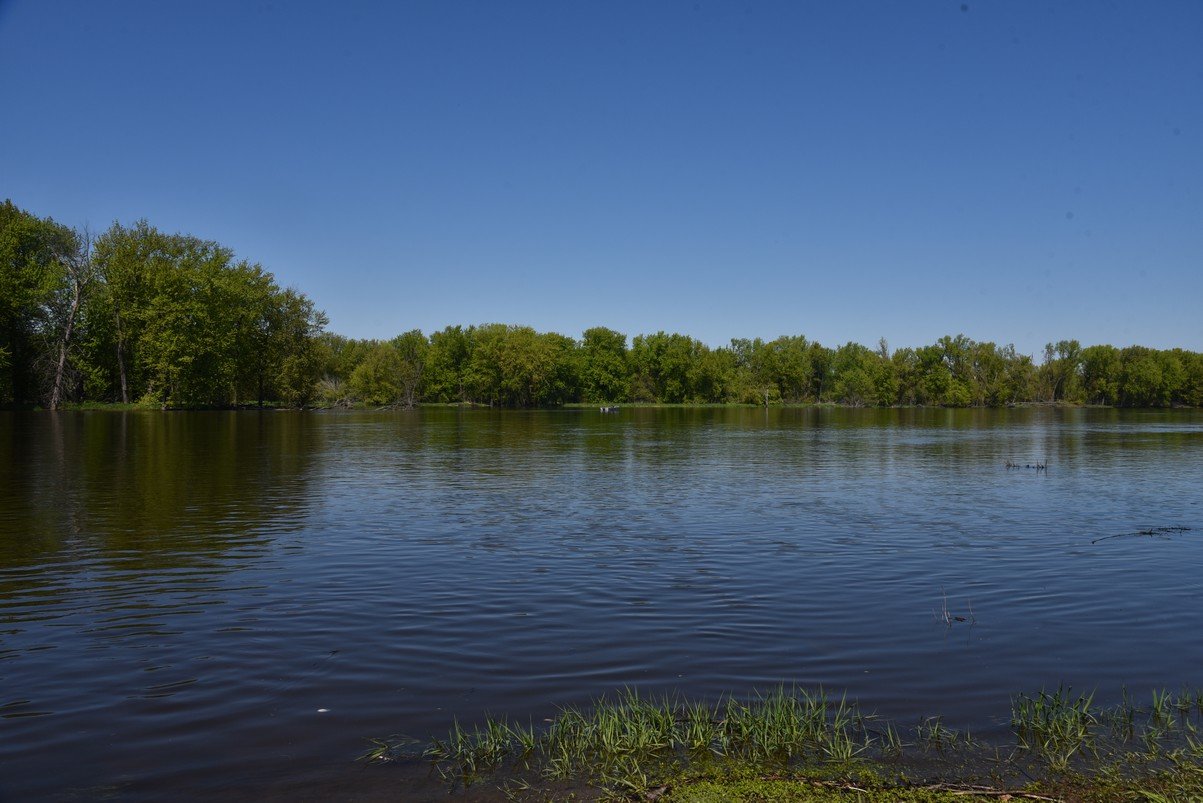 dsc_2773_fs.jpg