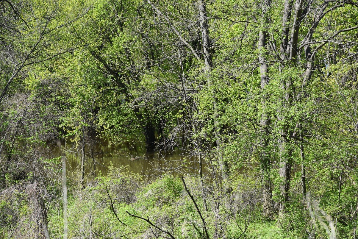 dsc_2787_fs.jpg
