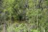 dsc_2787_fs_small.jpg