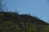 dsc_2799_fs_small.jpg
