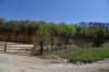 dsc_2802_fs_small.jpg