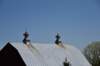 dsc_2815_fs_small.jpg
