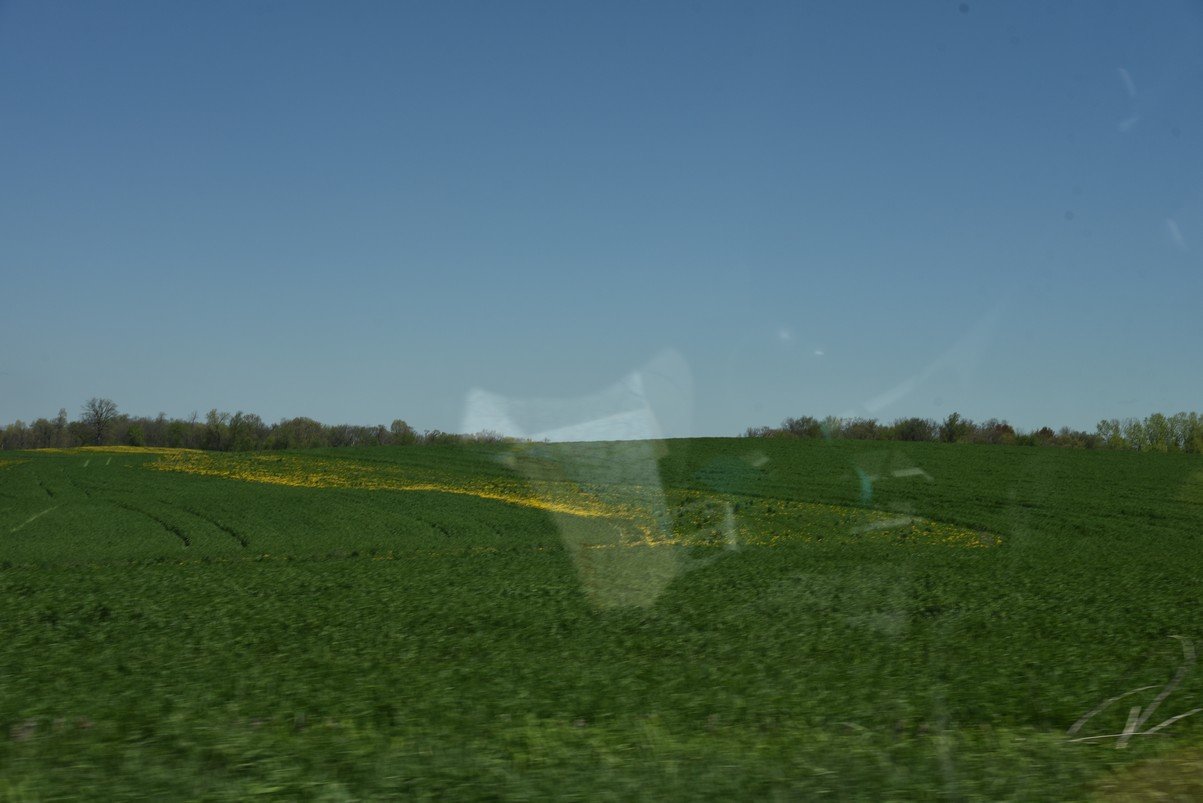 dsc_2831_fs.jpg