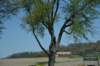 dsc_2844_fs_small.jpg