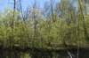 dsc_2861_fs_small.jpg