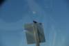 dsc_2865_fs_small.jpg