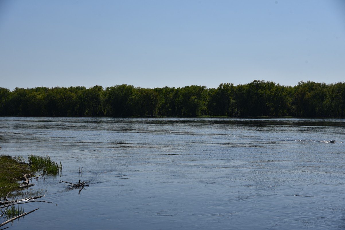 dsc_2905_fs.jpg