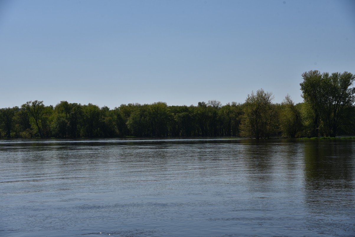 dsc_2910_fs.jpg