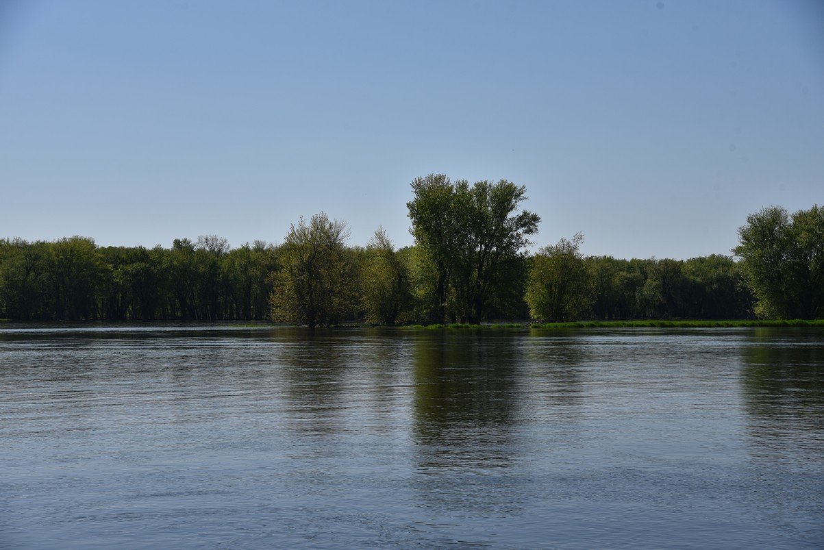 dsc_2911_fs.jpg