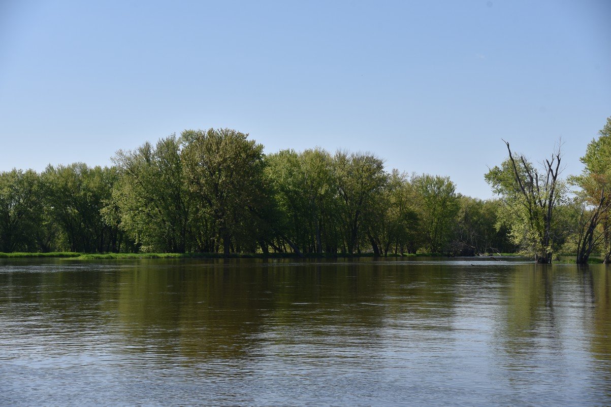 dsc_2913_fs.jpg