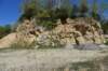 dsc_2998_fs_small.jpg