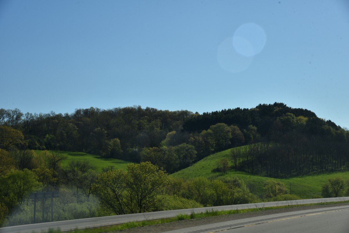 dsc_3071_fs.jpg